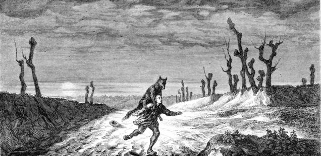 Der Werwolf von Tarker Mills: Kulthorror von Stephen King