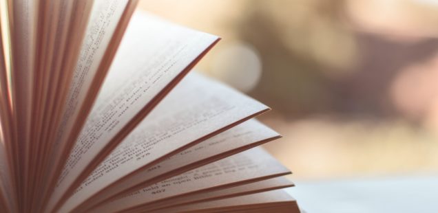 Rechtliche Basis von Autorenverträgen: Das Verlagsgesetz