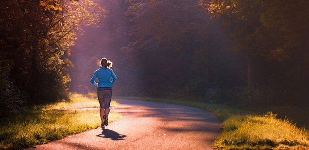 Buchtipp: Gesund abnehmen mit Sport und aktiv das Leben genießen