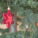 Weihnachtsgedichte: Besinnlich dem Zauber von Weihnachten lauschen